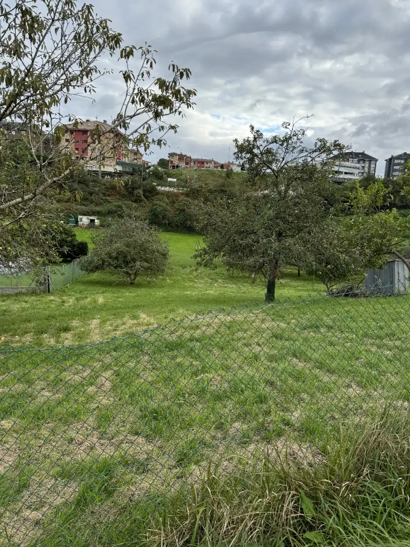 Lands and plots for sale in Lugar de La Florida 20, imagen 10