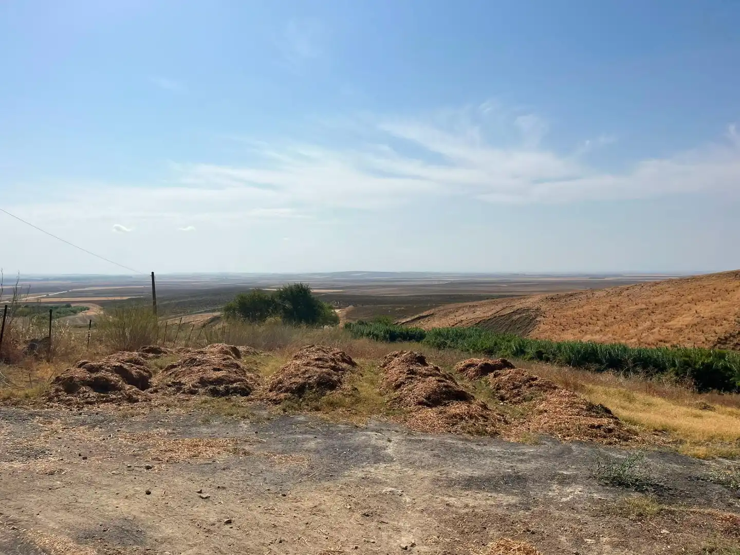Rural land for sale in Carmona, imagen 9