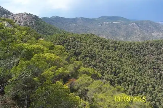 Detached house for sale in Tibi, imagen 2