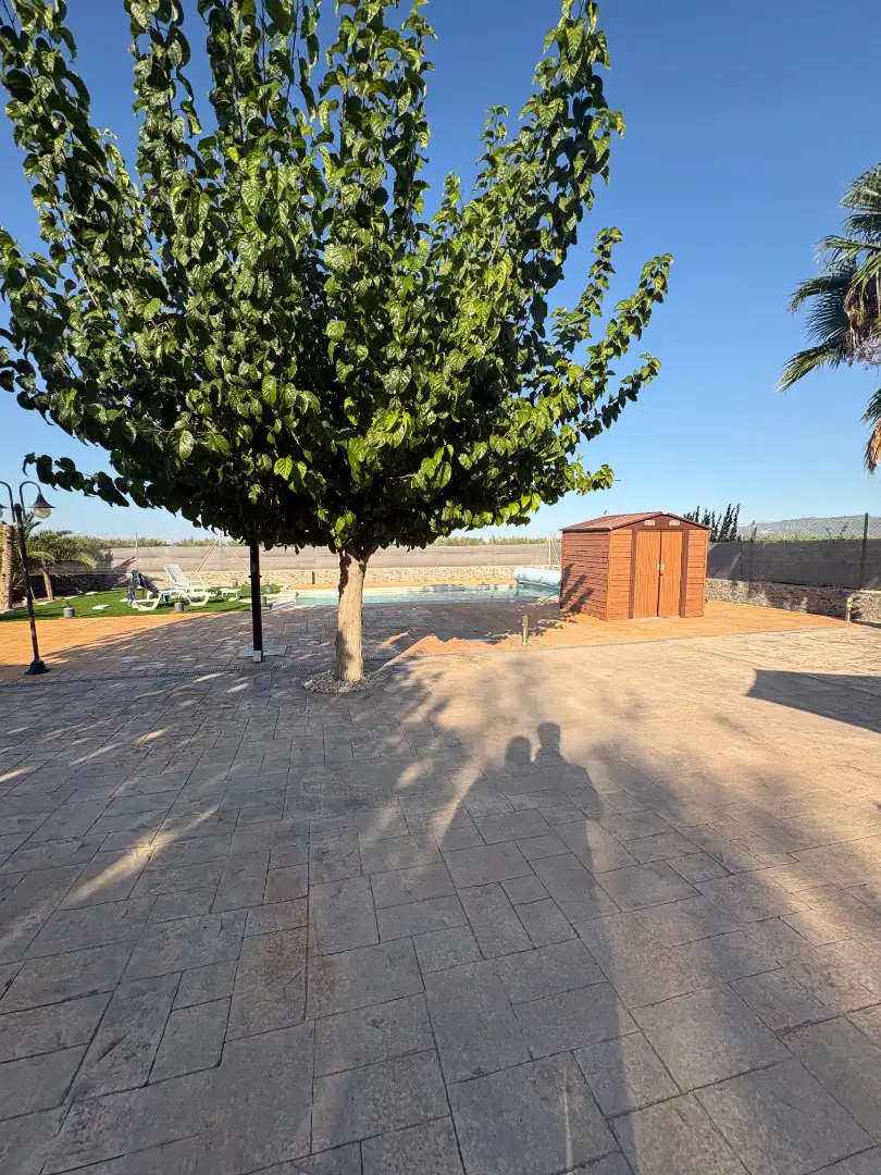 Maison rustique avec piscine à vendre à Pedanías Oeste, imagen 8