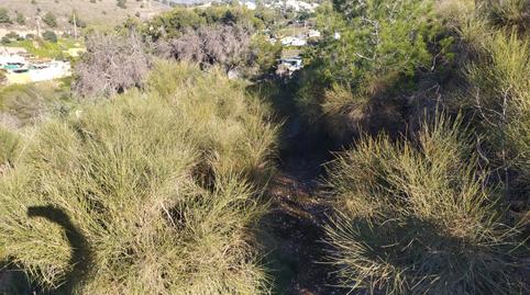 Photo 5 of Land for sale in Avenida de las Palmeras, 66, Avda Pescia - Ctra de Frigiliana, Málaga
