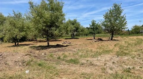 Foto 5 de Finca rústica en venta en Rúa Pista C, 5, Ventiun, Ourense Capital
