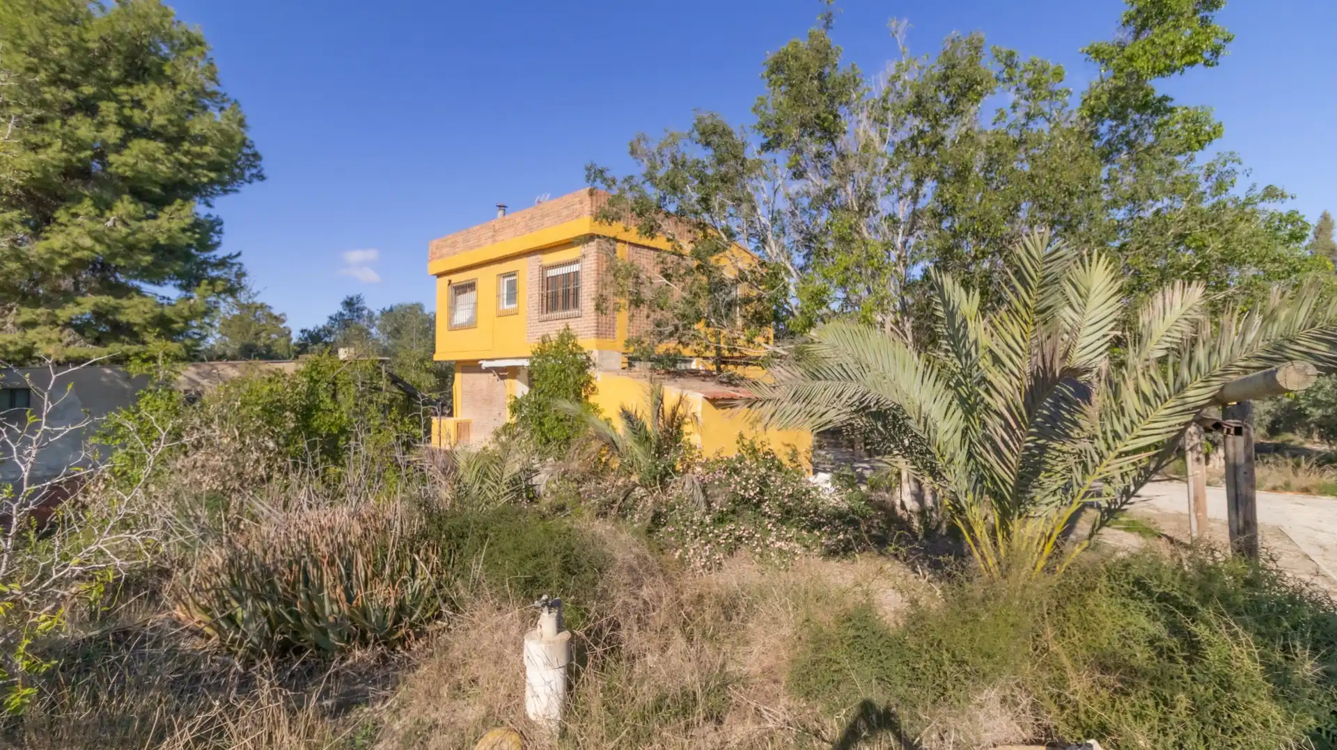 Vista exterior de Casa o chalet en venta en Elche / Elx con Trastero y Piscina