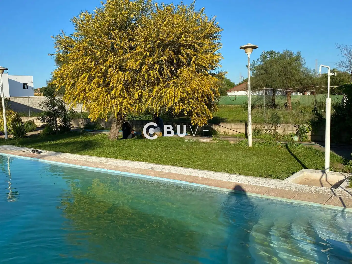 Piscina de Casa o chalet en venta en Carmona con Aire acondicionado, Calefacción y Terraza