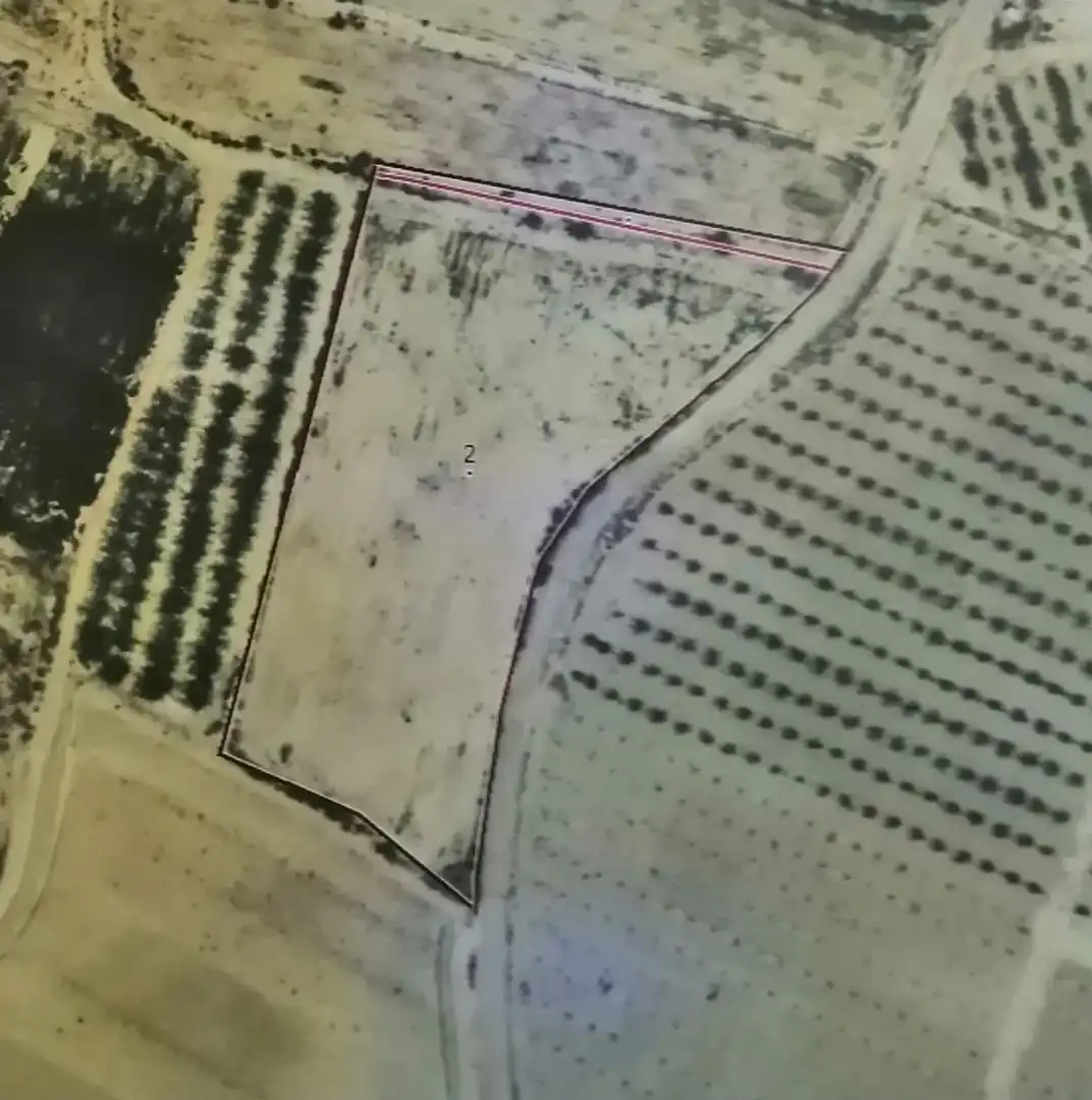 Land for sale in Ojós