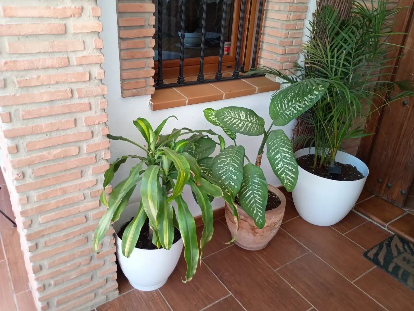 Terrassa de Casa adosada en venda en Algeciras amb Aire condicionat