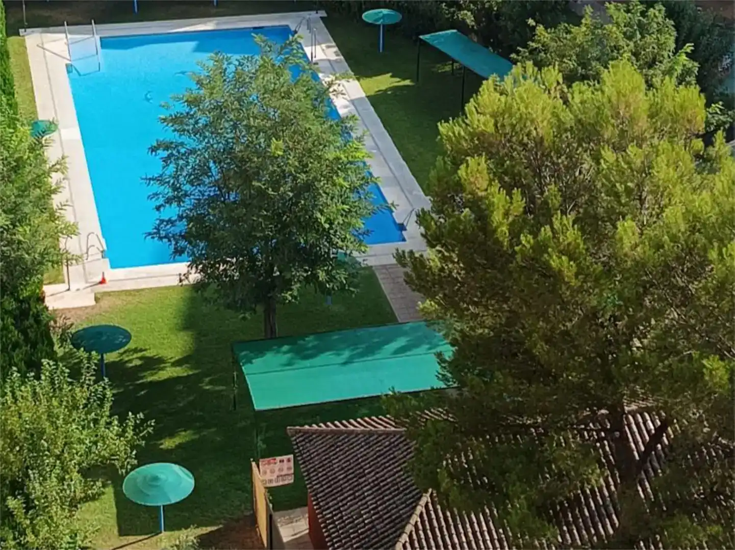Schwimmbecken von Wohnung zur untervermieten in Montequinto mit Klimaanlage, Privatgarten und Parkett