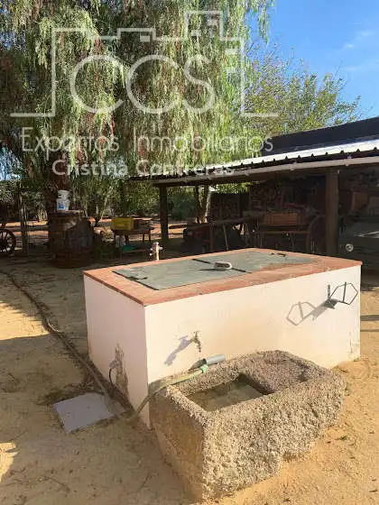 Vista exterior de Finca rústica en venta en Alcalá de Guadaira con Piscina y Amueblado