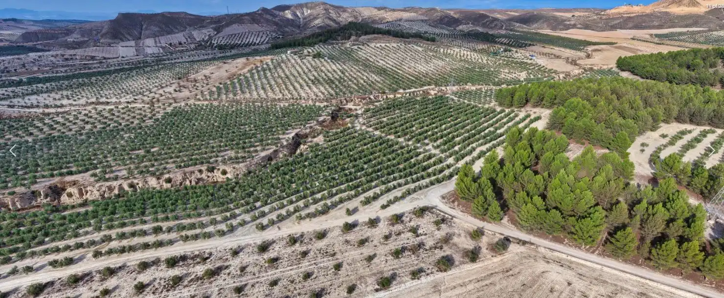 Finca rústica en venta en La Malahá
