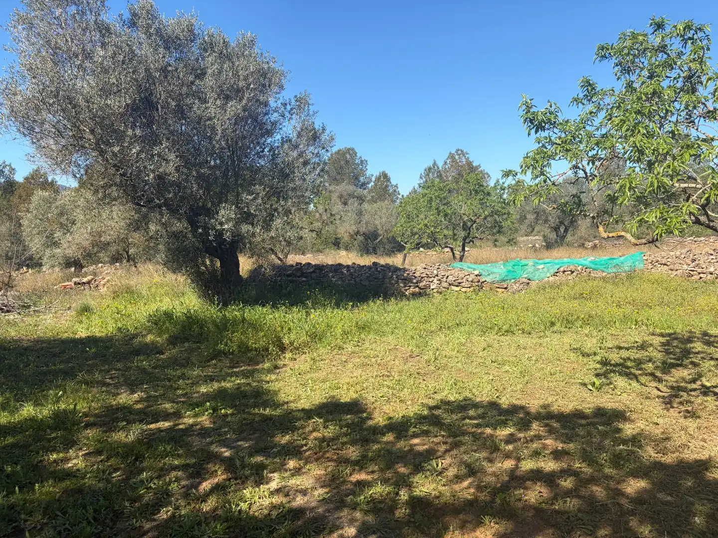 Finca rústica en venta en Tivissa