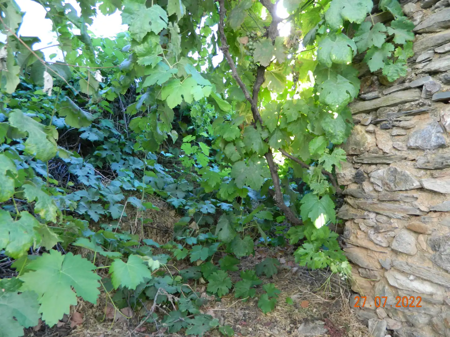 Reihenhaus mit Garten zum Verkauf in Calle Mártires 12, imagen 15