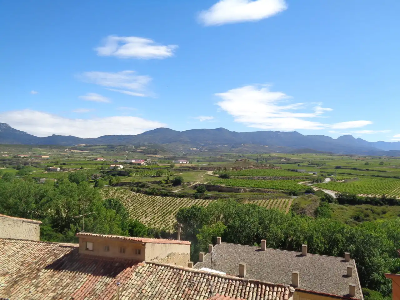 House for sale in San Vicente de la Sonsierra, imagen 41