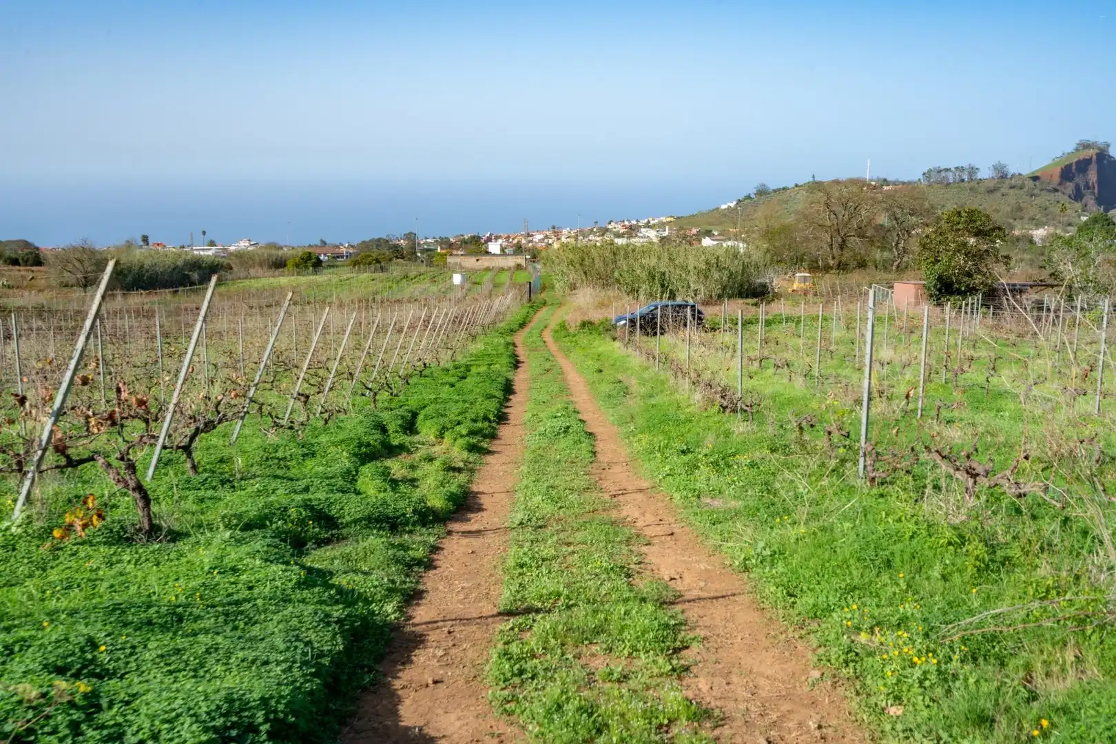 Exterior view of Land for sale in Tacoronte