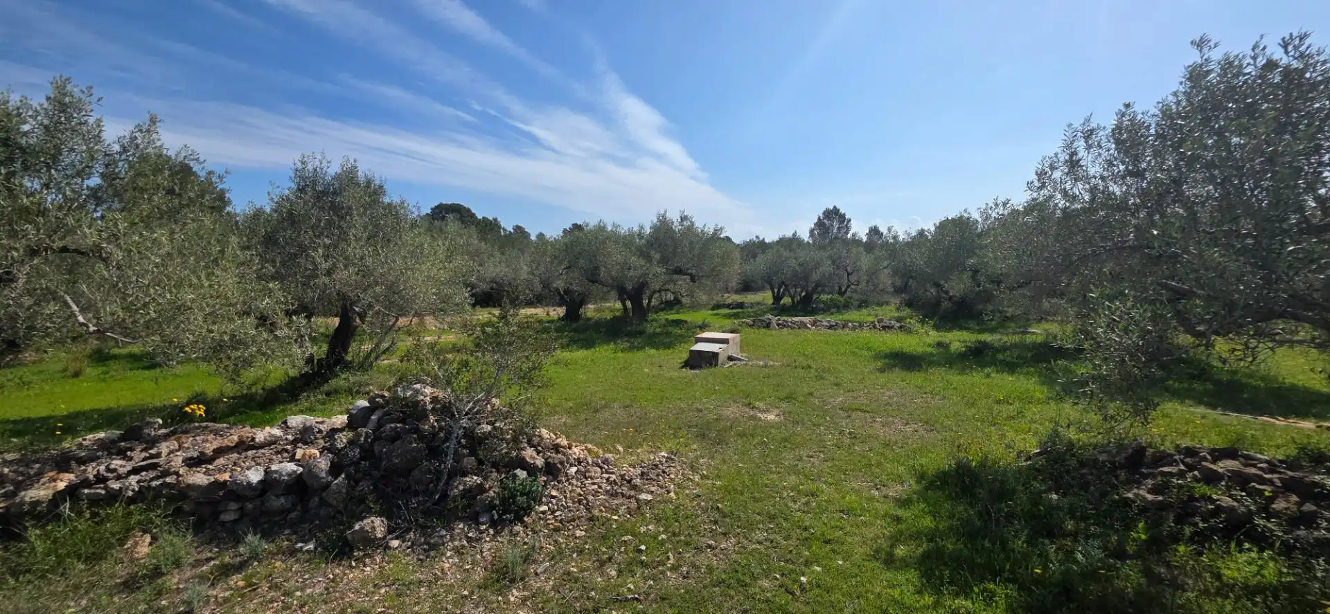 Maison rustique à vendre à L'Ametlla de Mar pueblo, imagen 23
