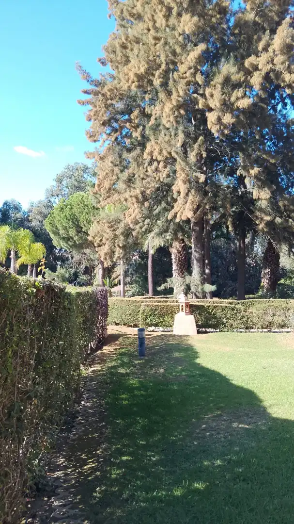 Jardí de Dúplex en venda en Islantilla amb Jardí privat, Terrassa i Traster