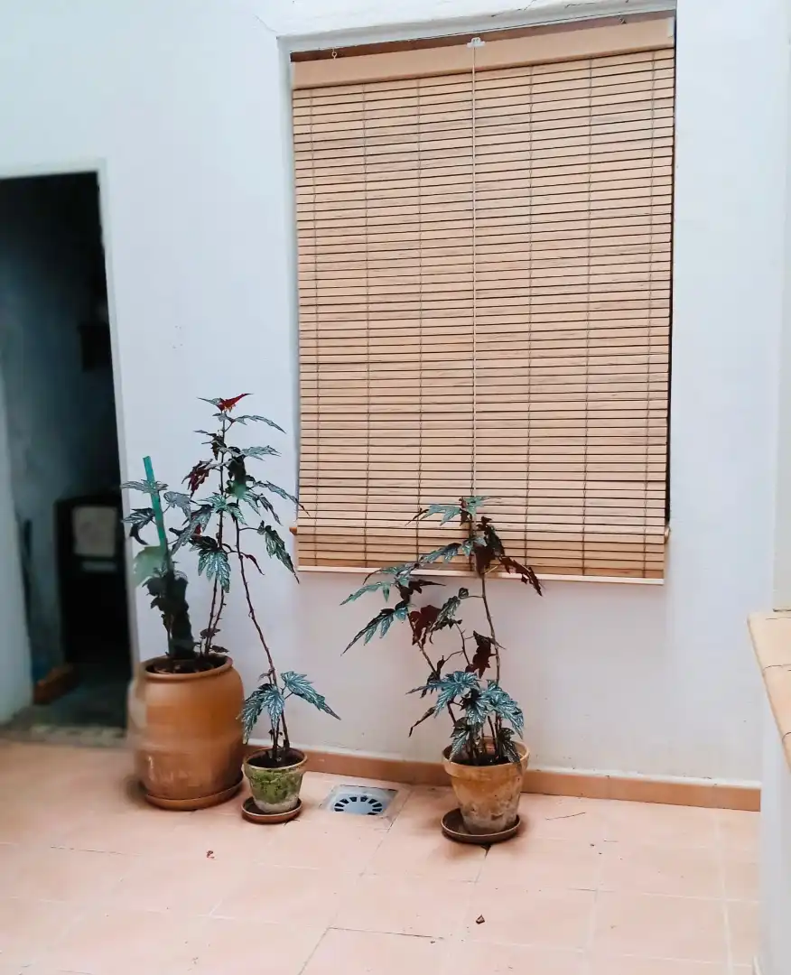 Terrassa de Casa o xalet en venda en Oliva amb Aire condicionat, Calefacció i Terrassa