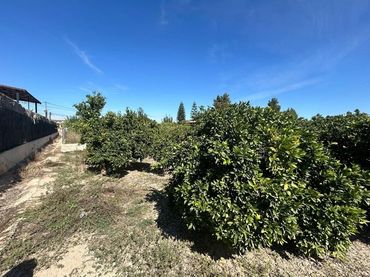Rustikales Grundstück zum Verkauf in Ricote