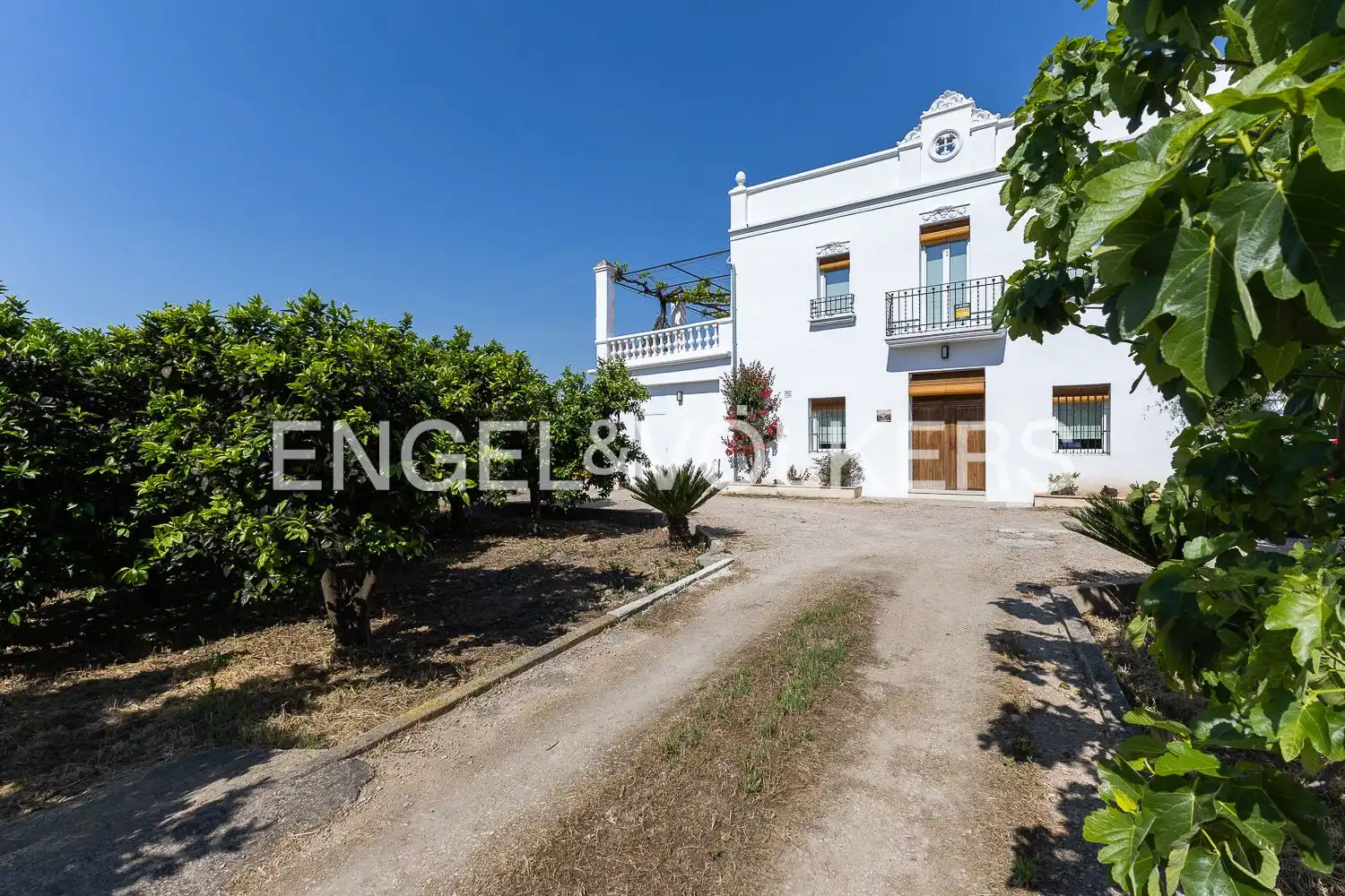 Vista exterior de Casa o chalet en venta en Carcaixent con Aire acondicionado, Calefacción y Jardín privado