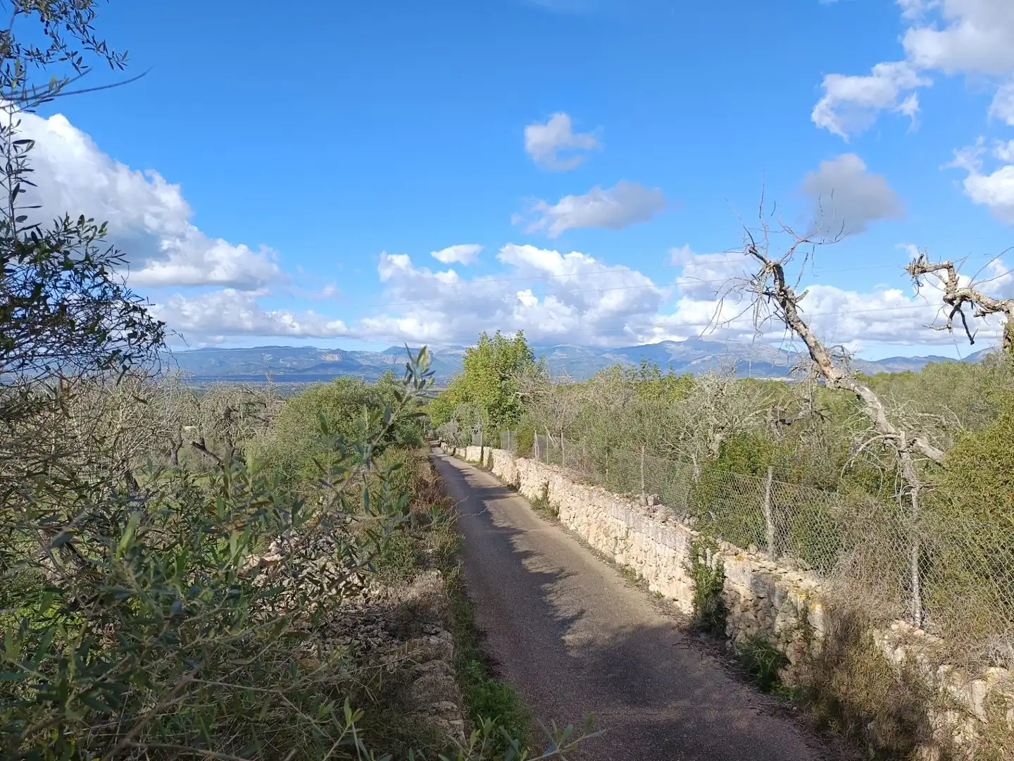 Terreno rustico in vendita a Camino Camí des Rafalet, imagen 8
