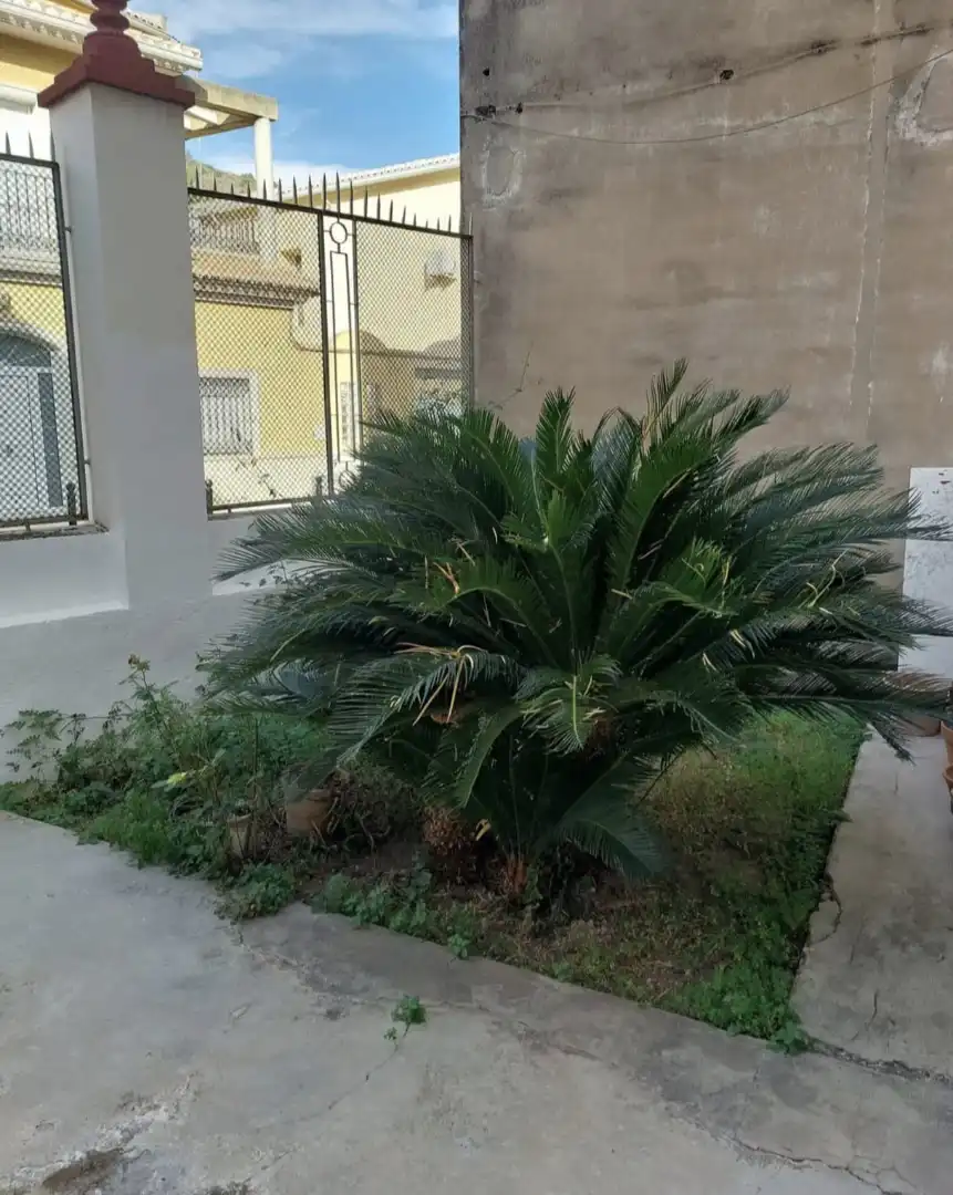 Casa amb jardí en venda a Avinguda Sant Cristòfol 1, imagen 8