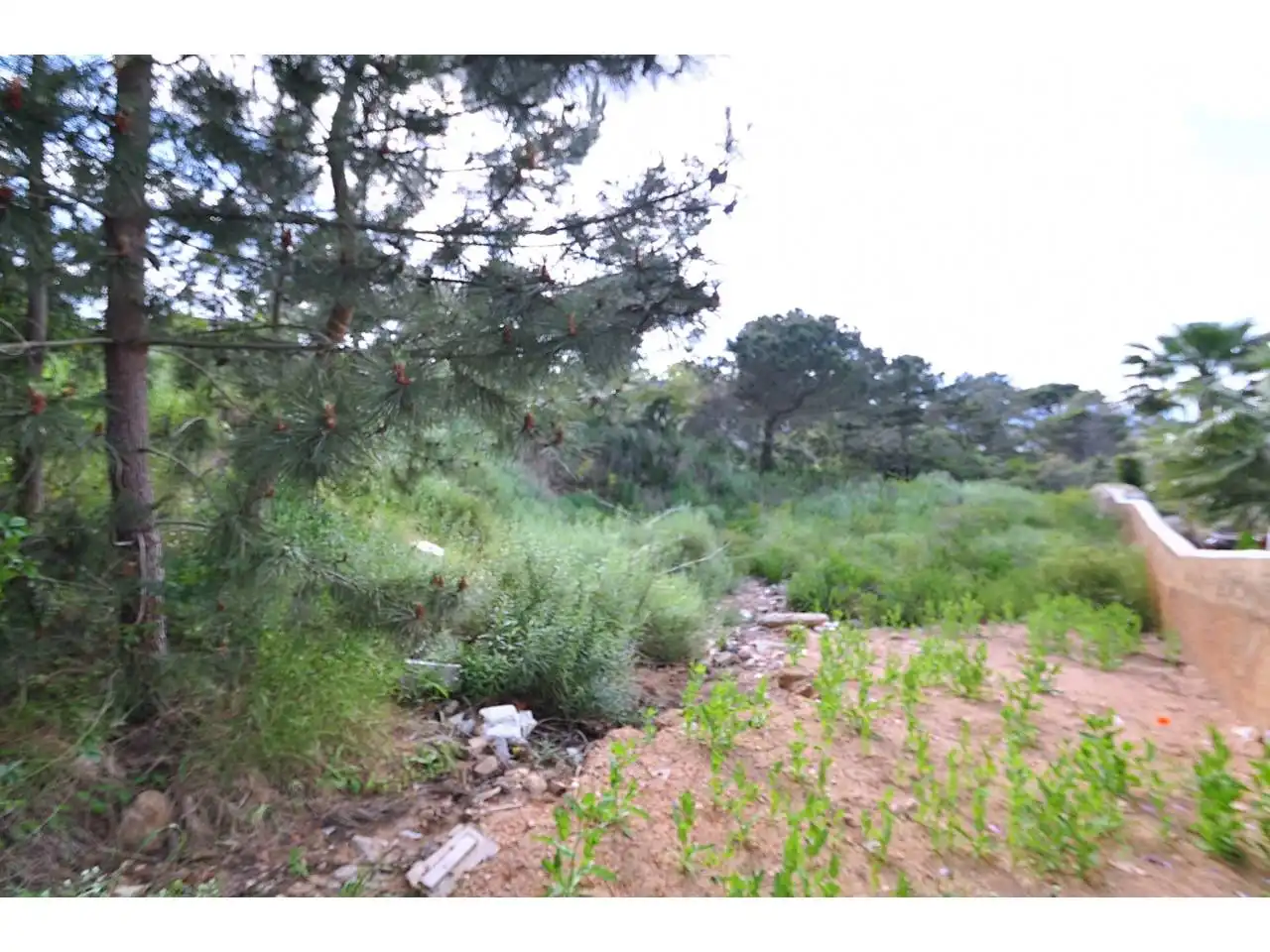Terreno residencial en venta en Calle Roselles 29, imagen 3