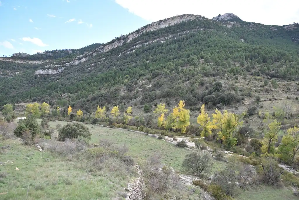Terreni e lotti in vendita a Peñarroya de Tastavins, imagen 14