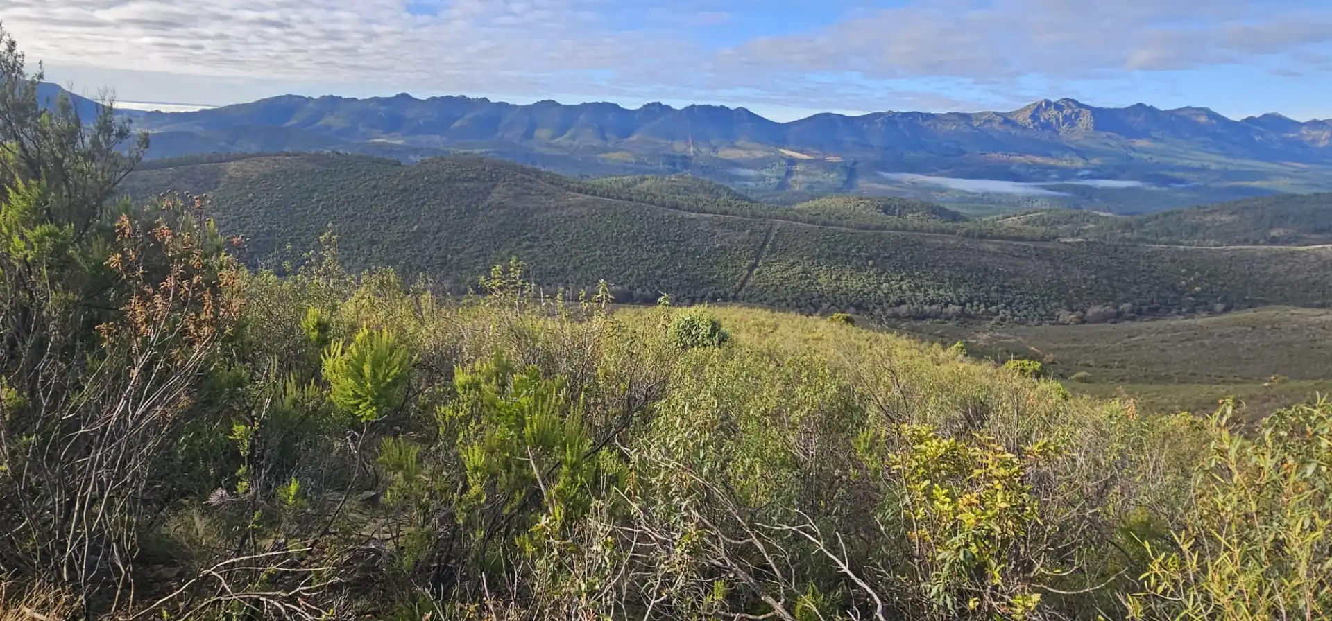 Terreni e lotti in vendita a Alía, imagen 4