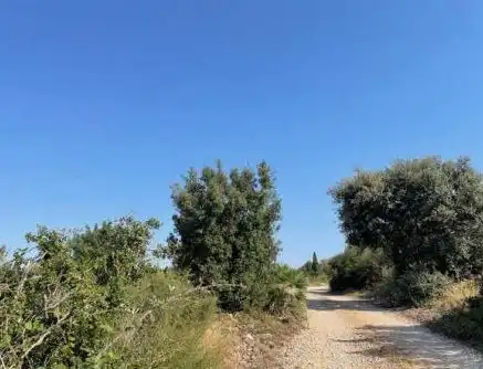 Terreno residencial en venta en Partida Rústica En Hoya De Buñol - El Tollo - Po, imagen 8