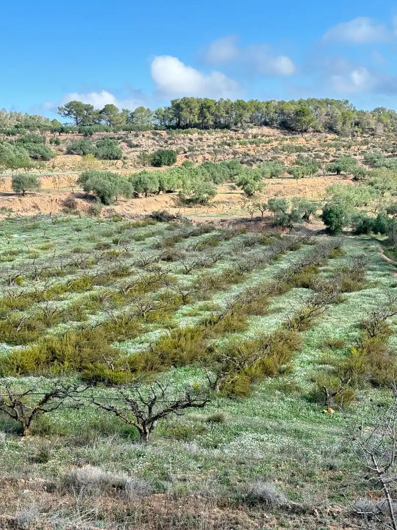Terreno en venta en La Fatarella