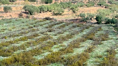 Foto 3 de Terreny en venda a Carrer de Sant Andreu, 7, La Fatarella, Tarragona