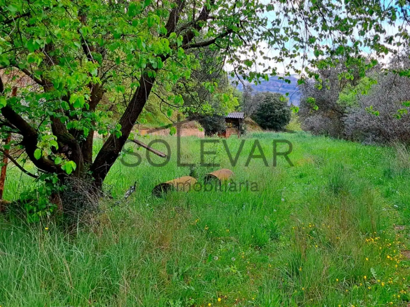 Residential land for sale in Únic, imagen 4