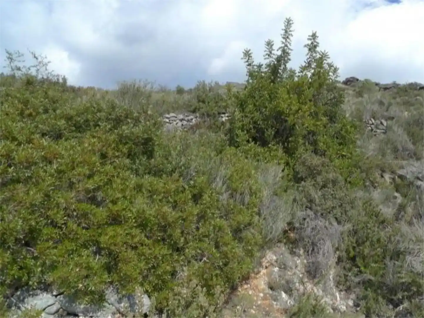 Casa o xalet de lloguer en Alcalalí amb Jardí privat, Piscina i Moblat