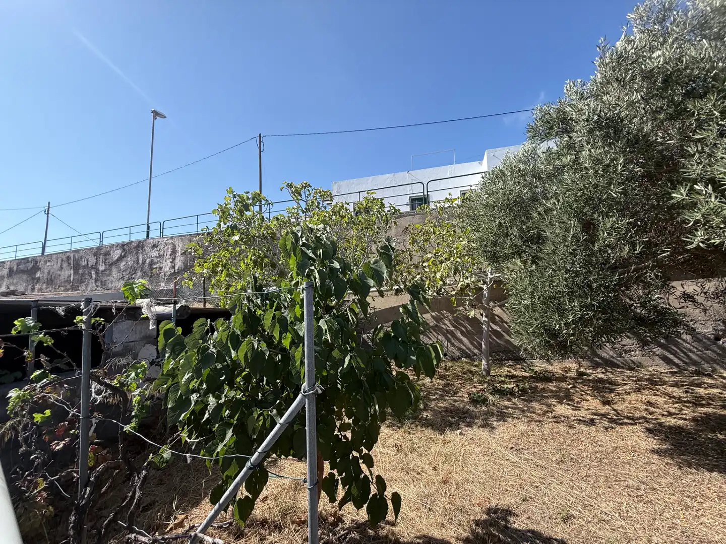 Country house with garden for sale in Calle la Vera, imagen 23