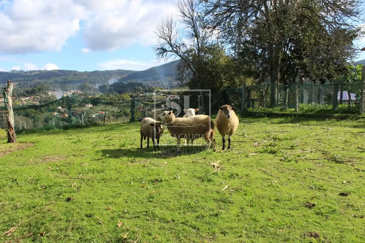Casa con jardín en venta en Gondomar, imagen 10