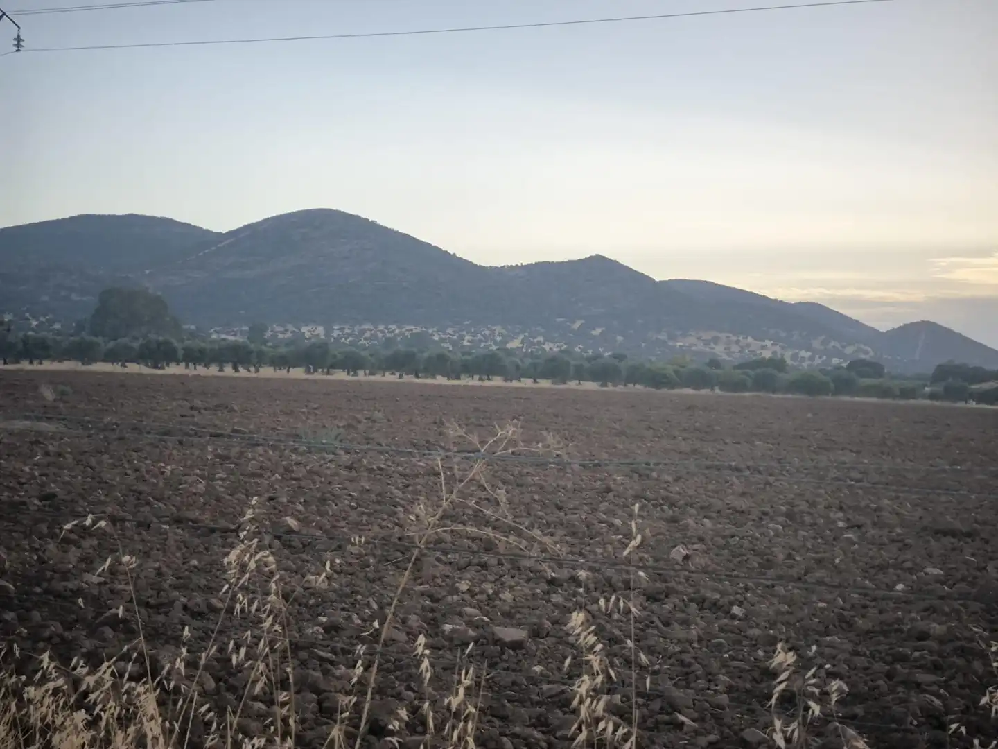 Finca rústica en venda en El Viso de San Juan