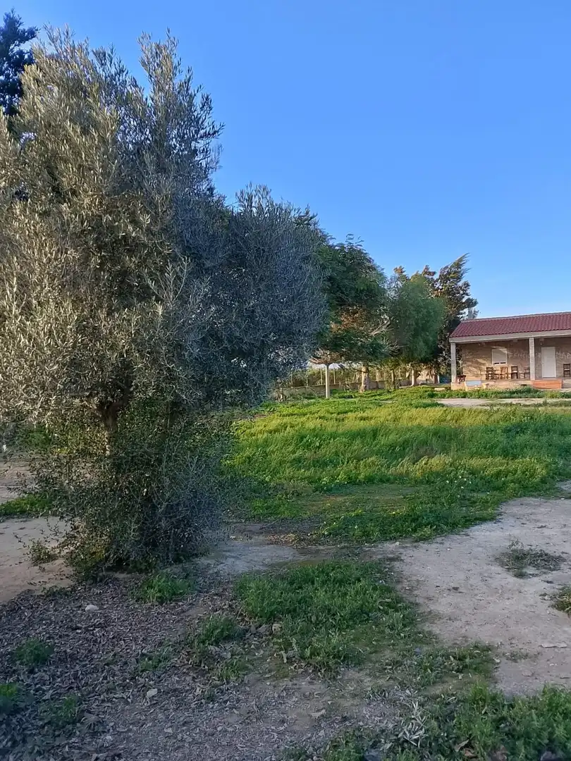 Finca rústica en venta en Daya Nueva