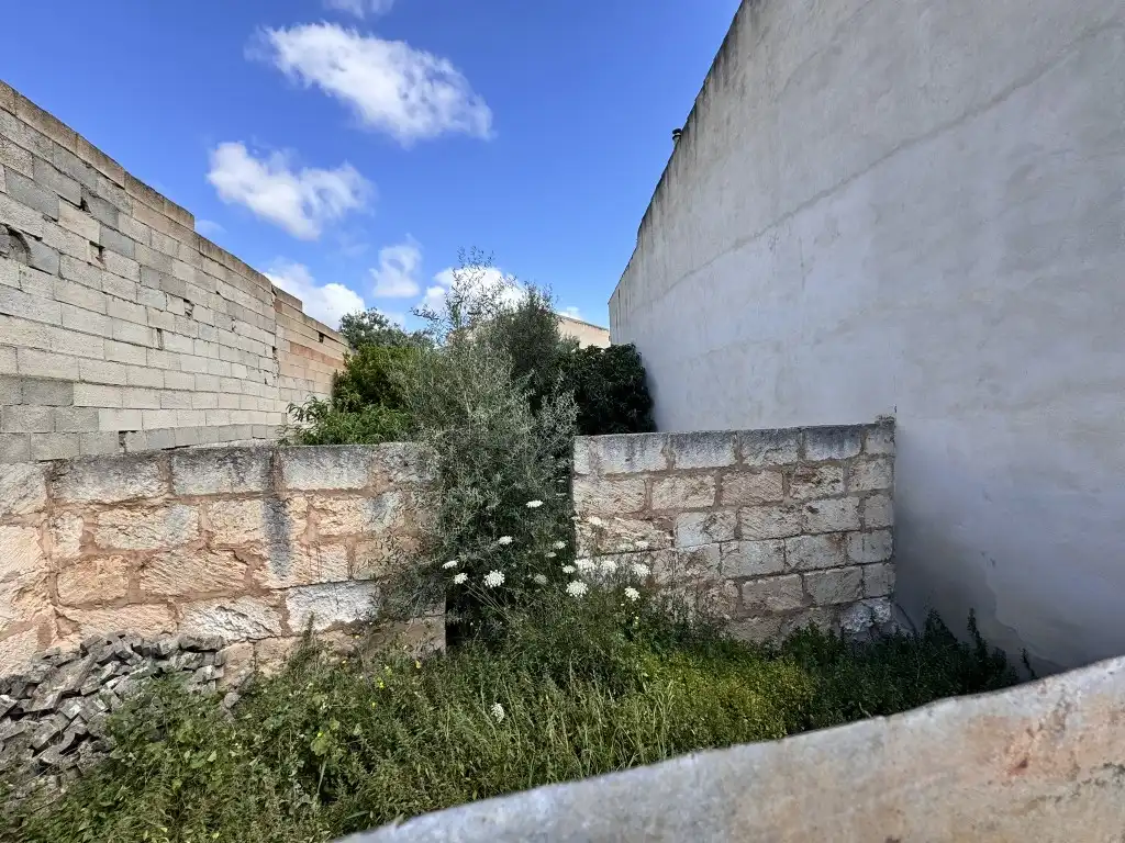 Terreno rustico in vendita a Sa Pobla, imagen 7