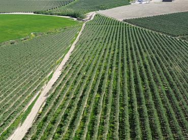 Terreno rustico in vendita a Las Abejorras