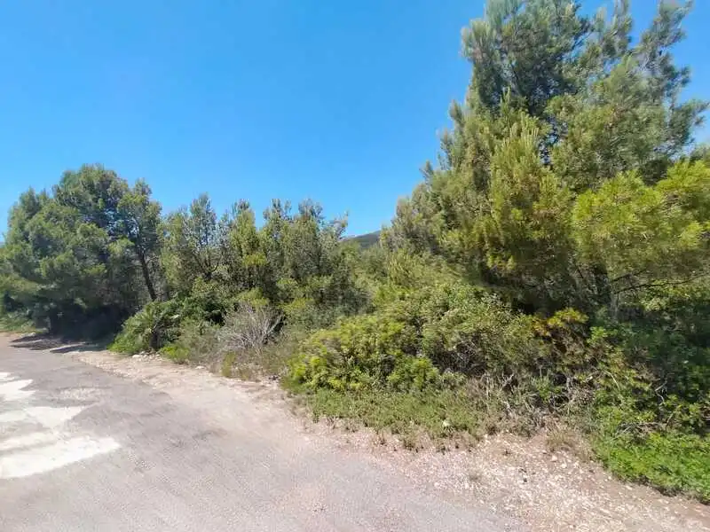 Residential land for sale in EL PINAR, imagen 6
