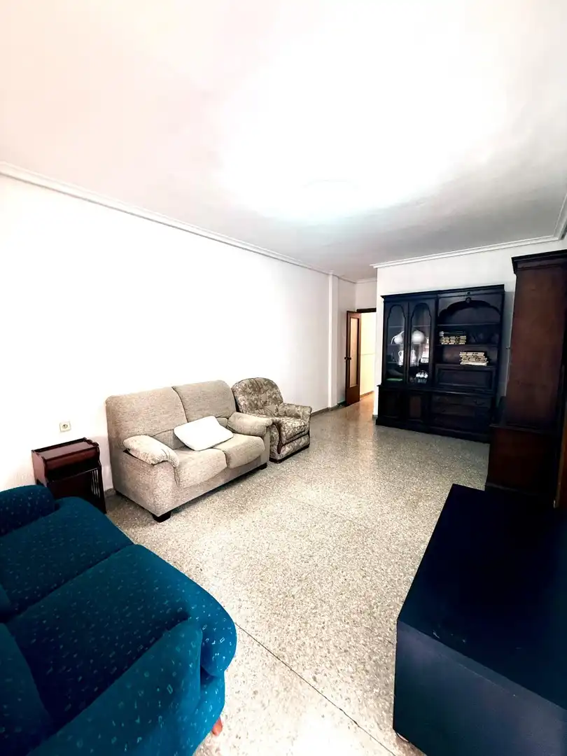 Sala d'estar de Apartament en venda en Camí Reial 