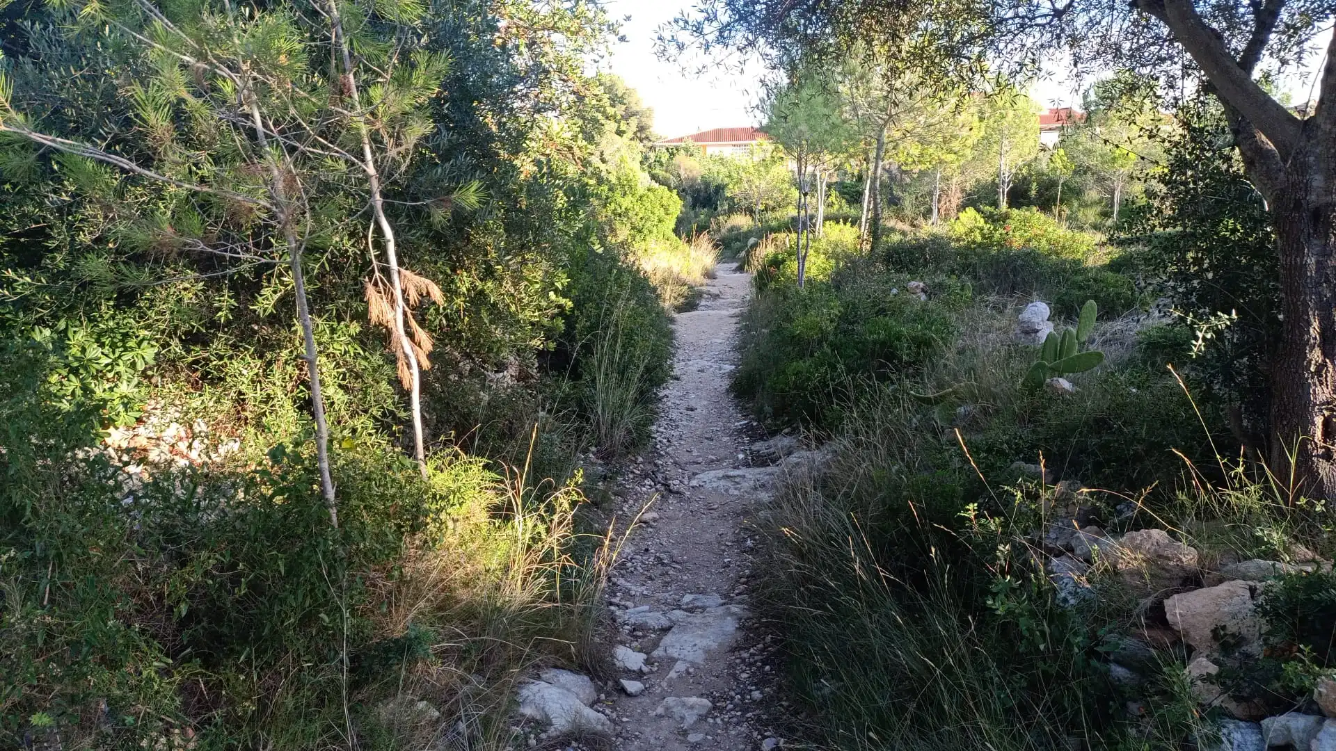 Vista exterior de Terreno en venta en El Vendrell