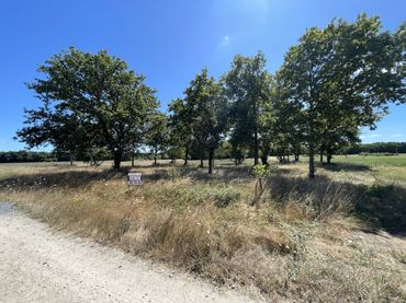Lands and plots for sale in Riveiras, O Carrizo