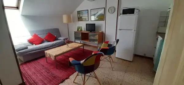 Sala d'estar de Àtic de lloguer en Sarrià - Sant Gervasi