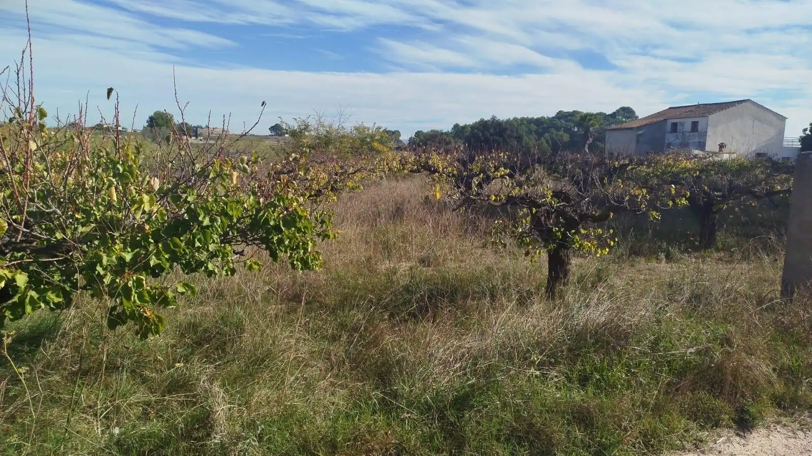 Terreno residencial en venta en L'Olleria, imagen 10