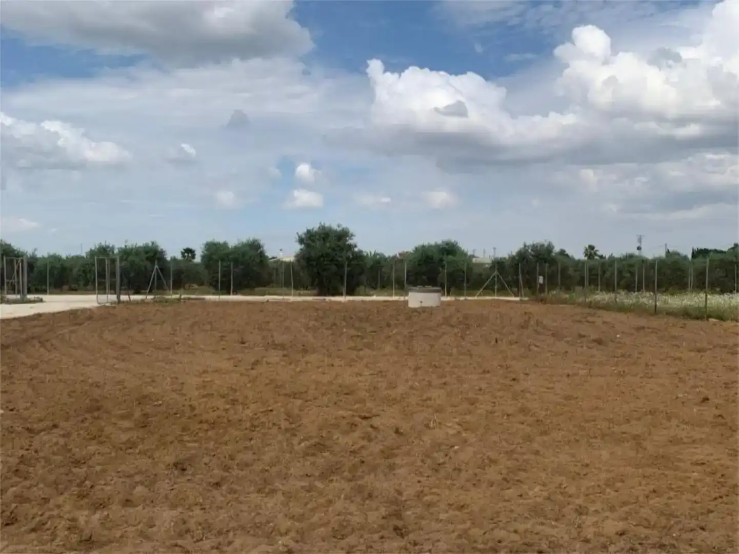 Finca rústica en venda en Marchena