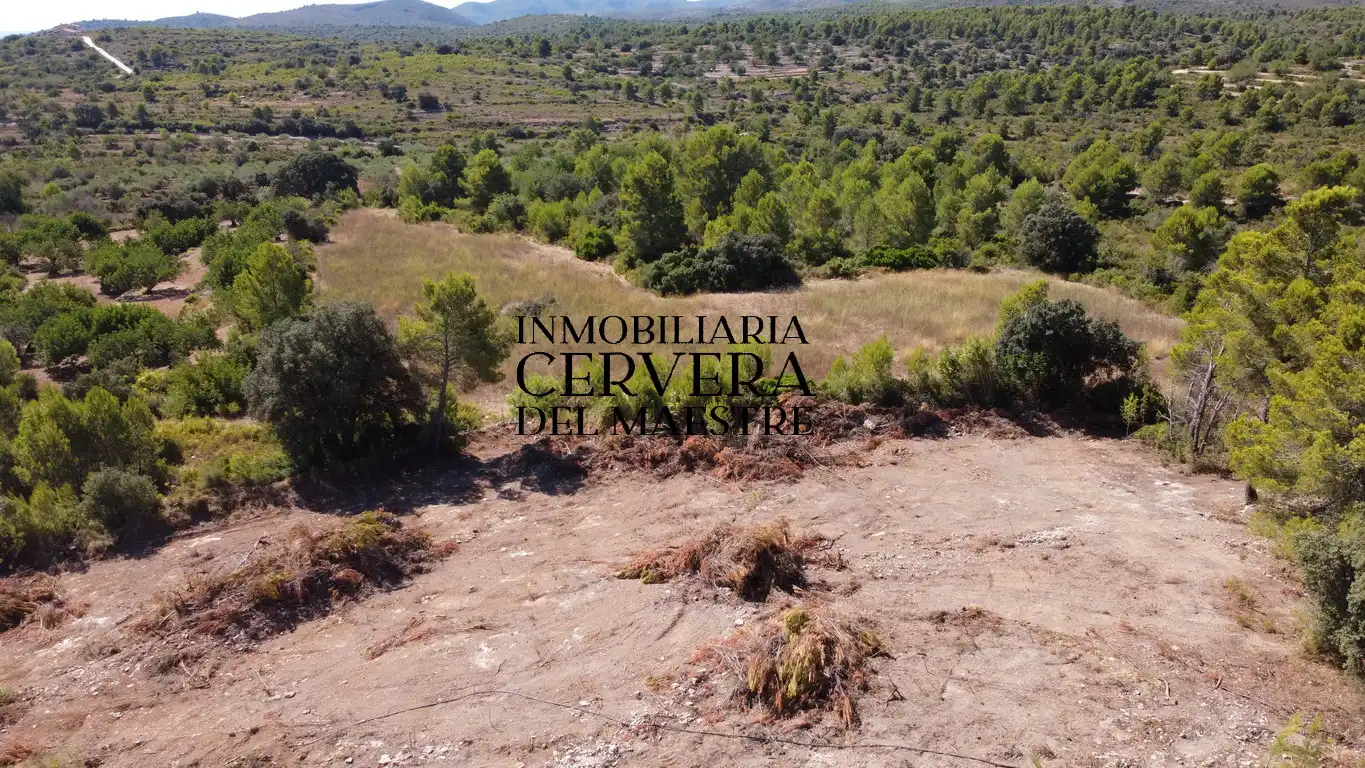 Terreno rustico in vendita a Cervera del Maestre, imagen 20