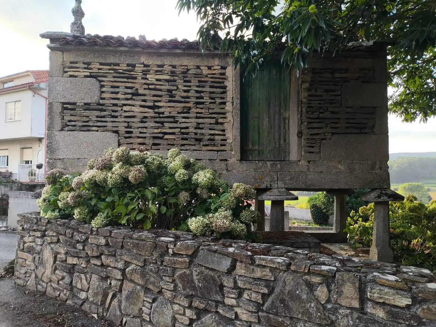 Garden of Country homes for sale in Ponteceso