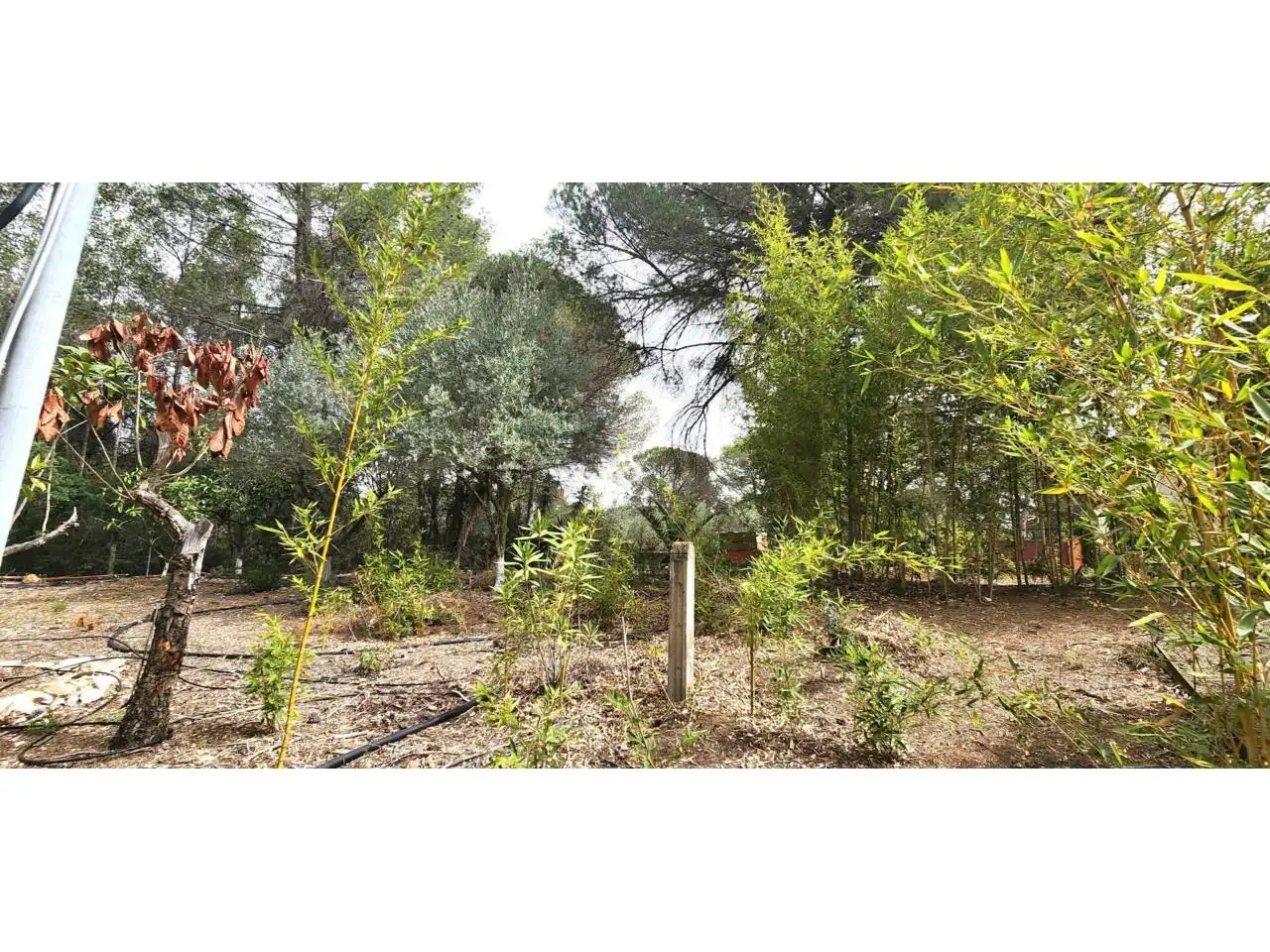 Casa o chalet en venta en Rubí con Calefacción, Jardín privado y Parquet