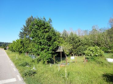 Terreni e lotti in vendita a Riocavado de la Sierra