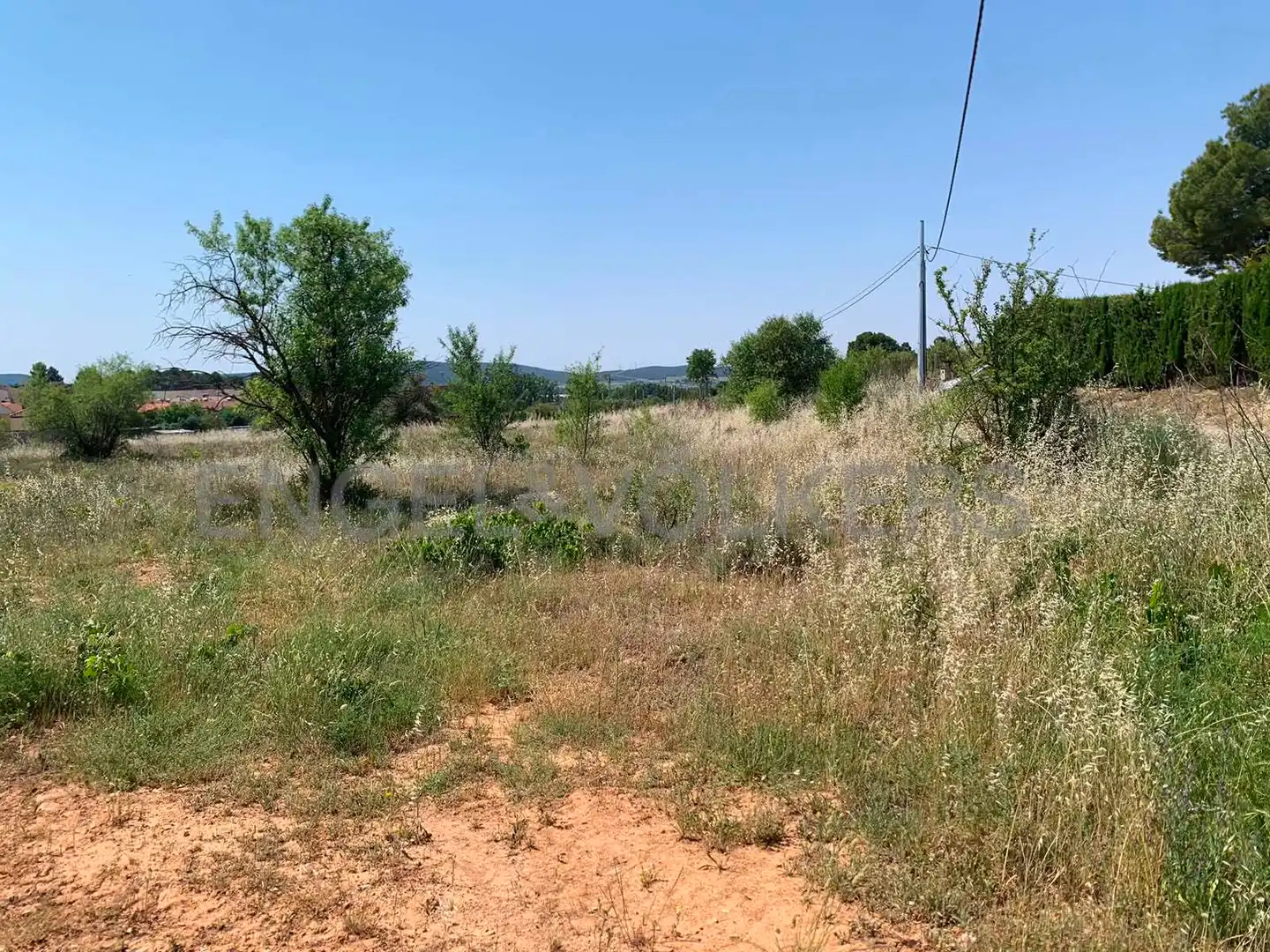 Terreny rústic en venda a Requena, imagen 8